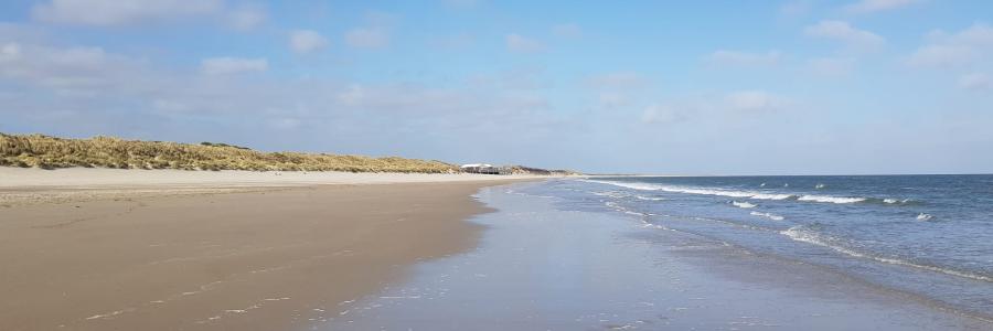 Strand 