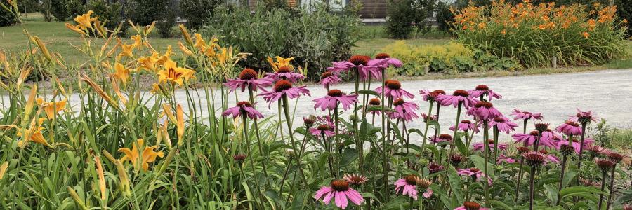 Bloemen en vakantiewoning