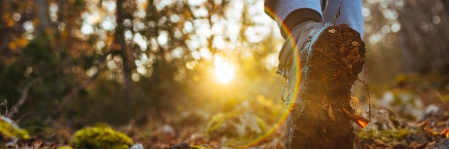 lopen in bos zon