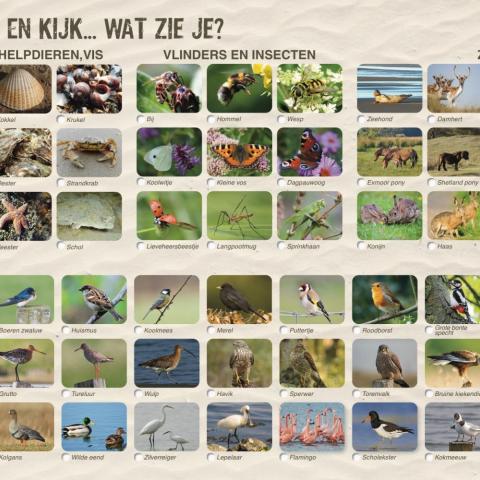 Welke dieren en vogels heb je gezien?